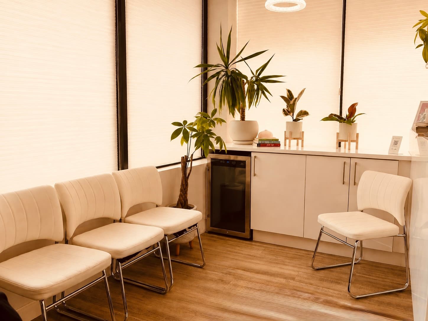 Comfortable waiting room with plants